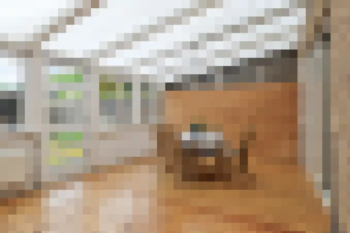Emmastraat 70 Angeren thumbnail 17