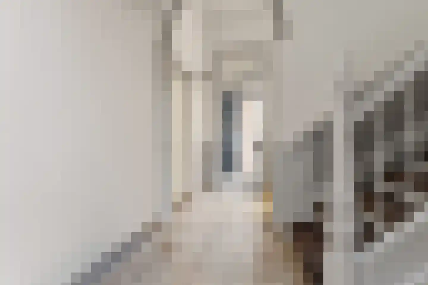 Emmastraat 71 3 Arnhem thumbnail 19
