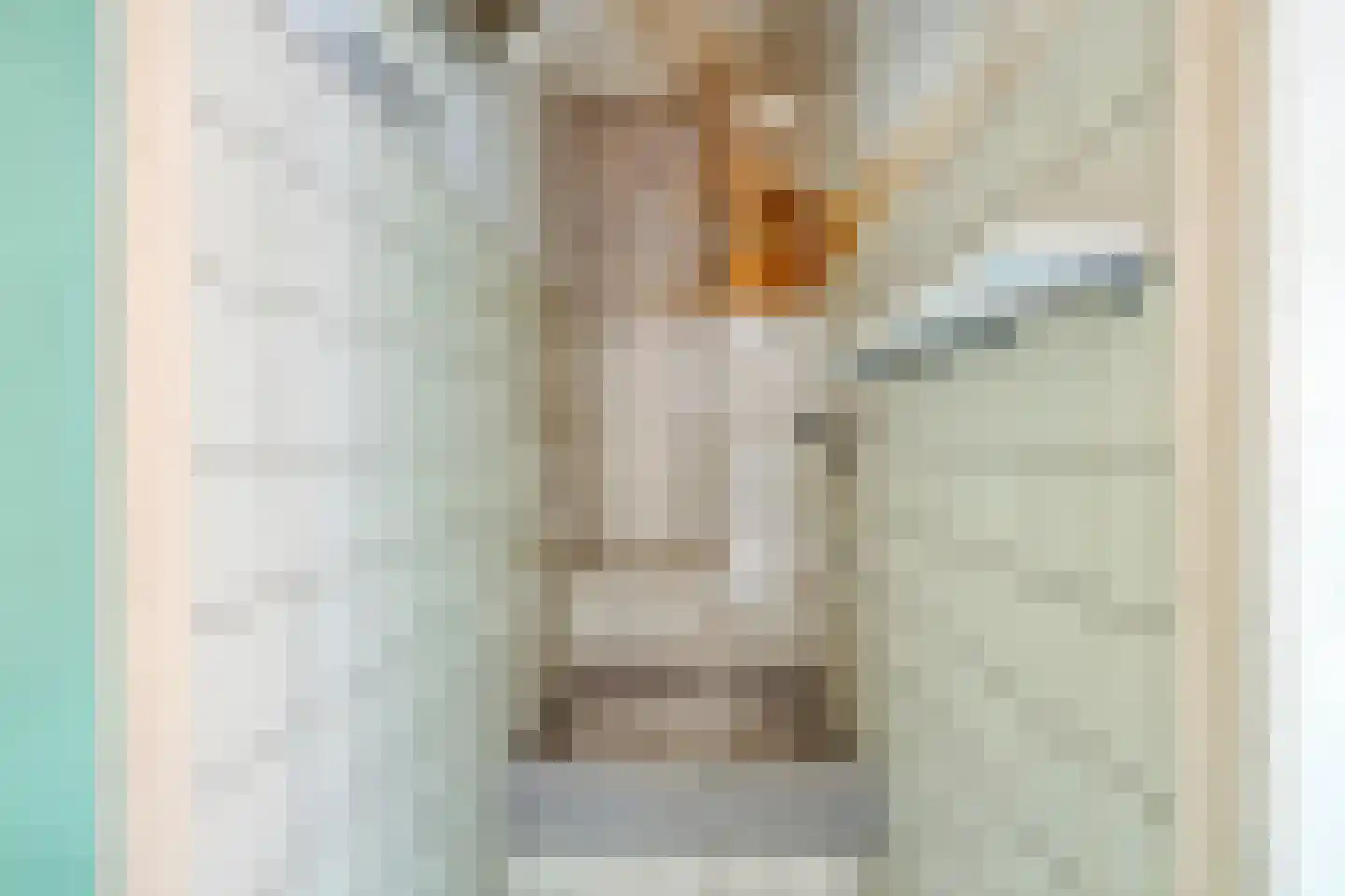Emmastraat 71 Asten thumbnail 21