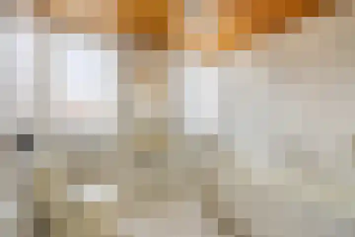 Emmastraat 71 Asten thumbnail 33