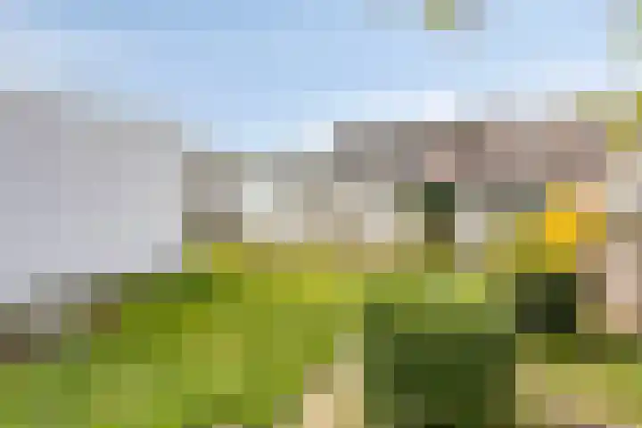Emmastraat 71 Asten thumbnail 5