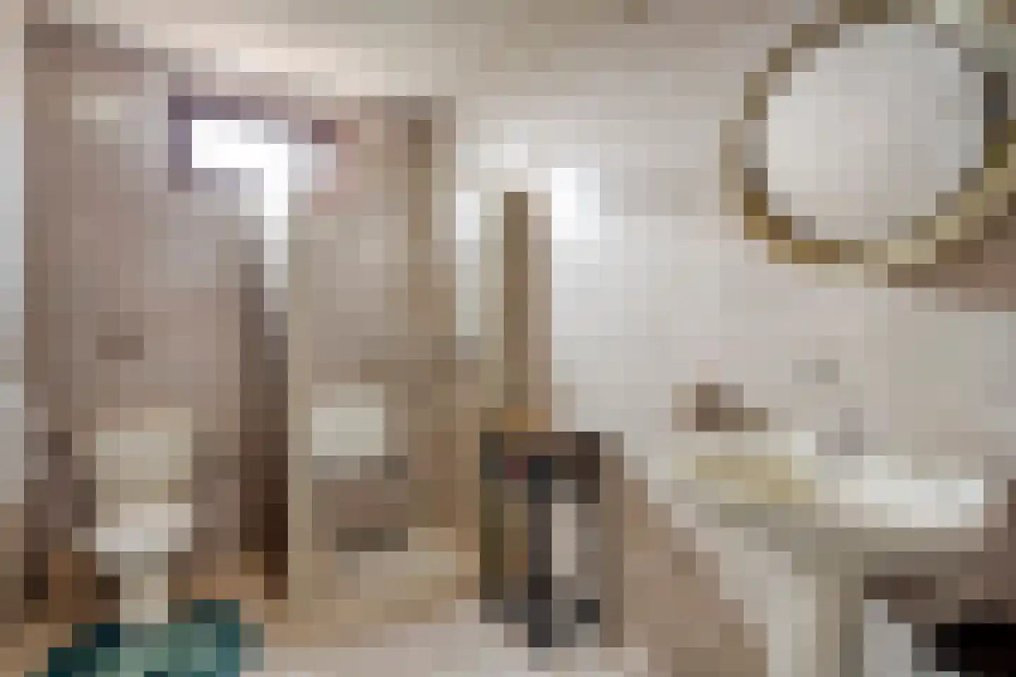 Emmastraat 77 St. Willebrord thumbnail 19
