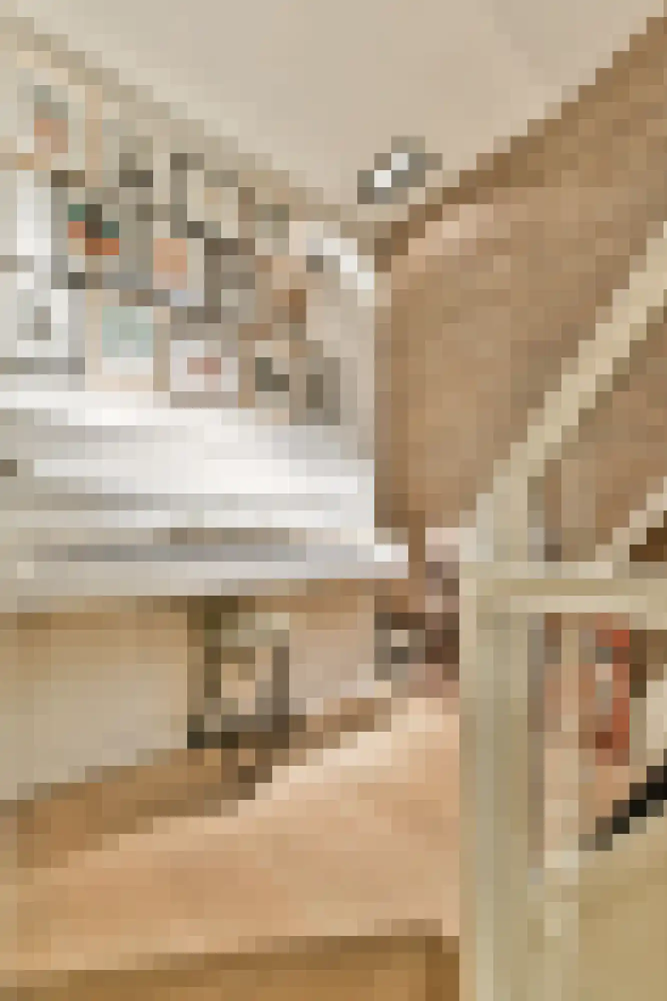 Emmastraat 8 2 Amsterdam thumbnail 4