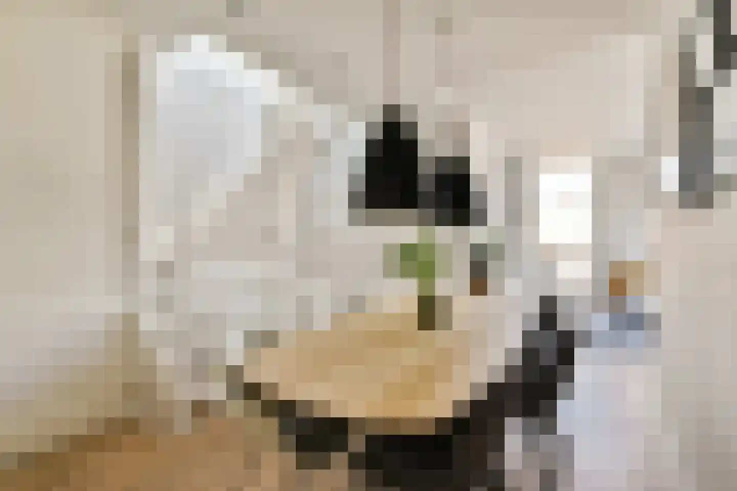 Emmastraat 8 2 Amsterdam thumbnail 5