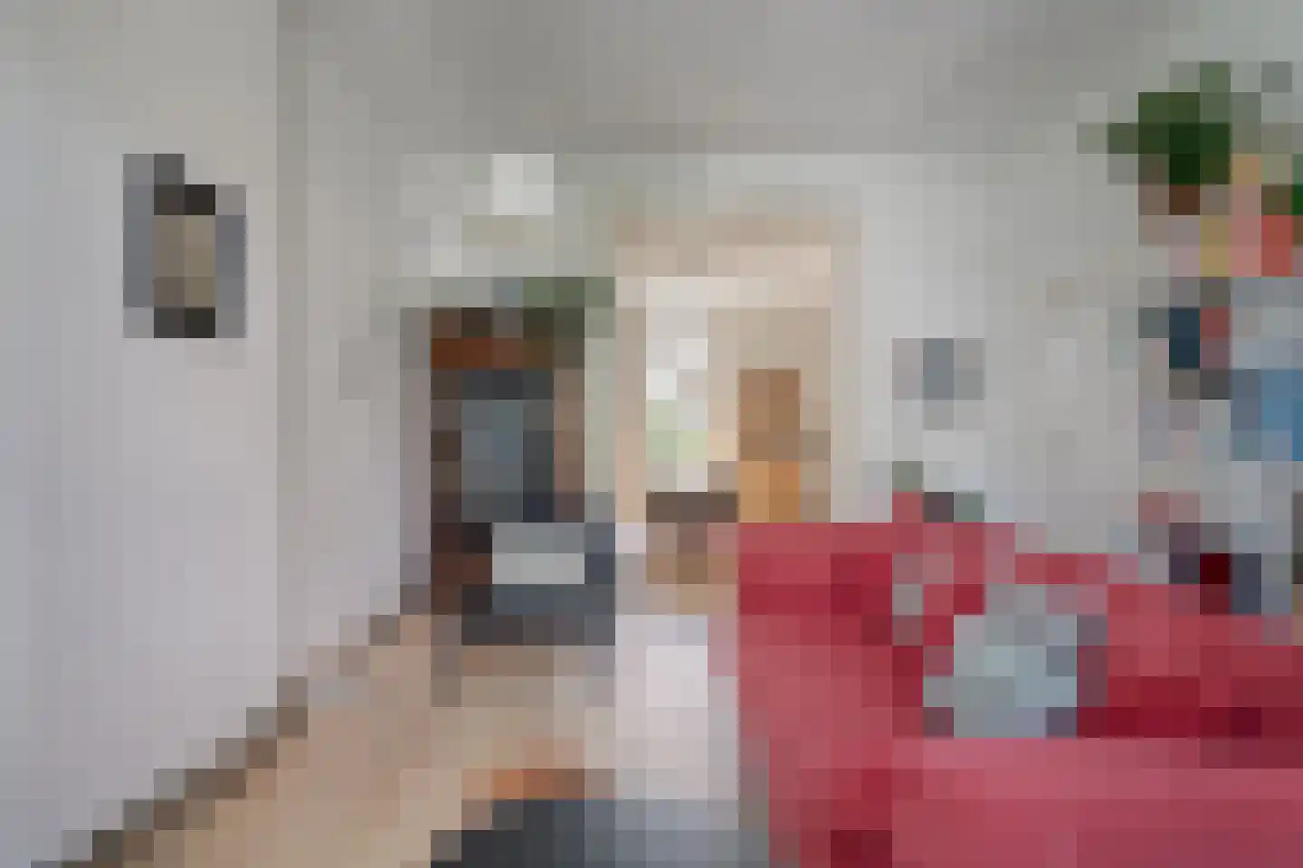 Emmastraat 8 Arnhem thumbnail 12