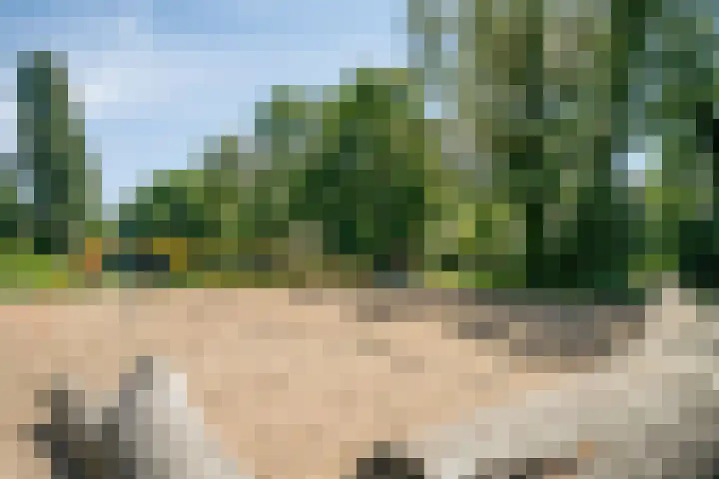 Emmastraat 8 Arnhem thumbnail 48
