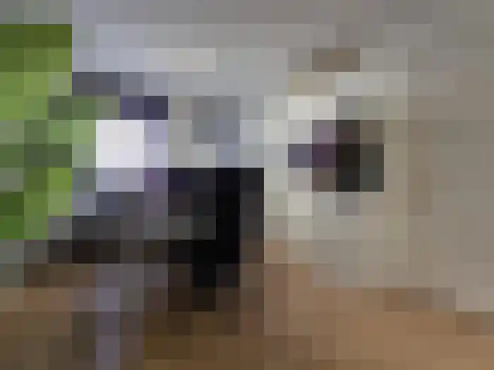 Emmastraat 8 Breda thumbnail 8