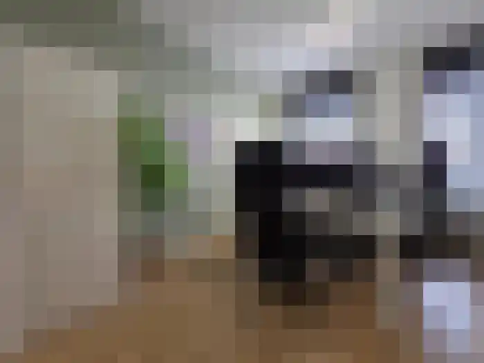 Emmastraat 8 Breda thumbnail 9