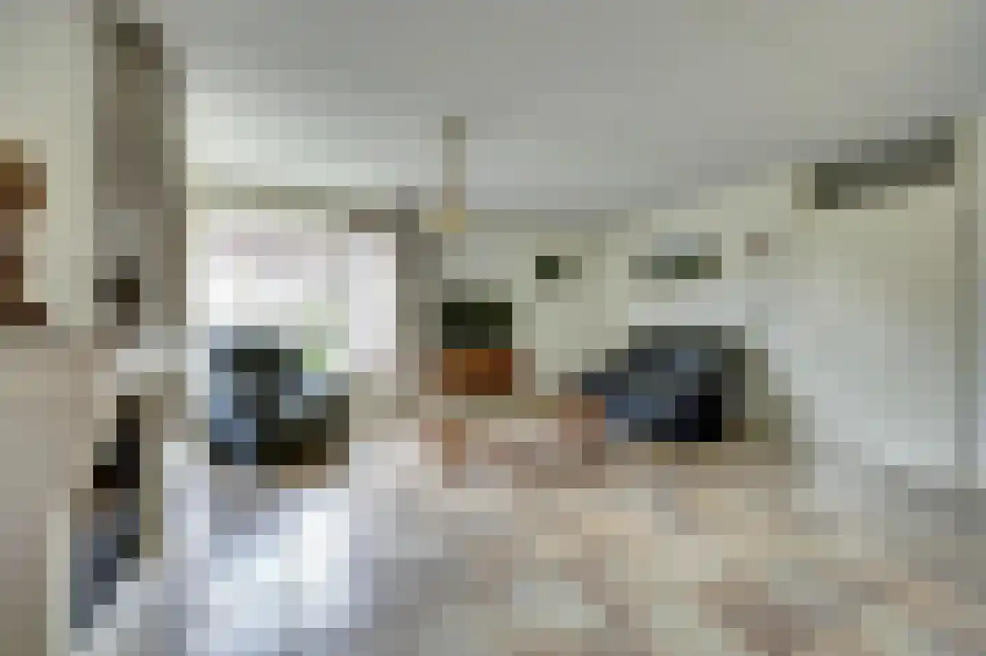 Emmastraat 8 Kortgene thumbnail 11