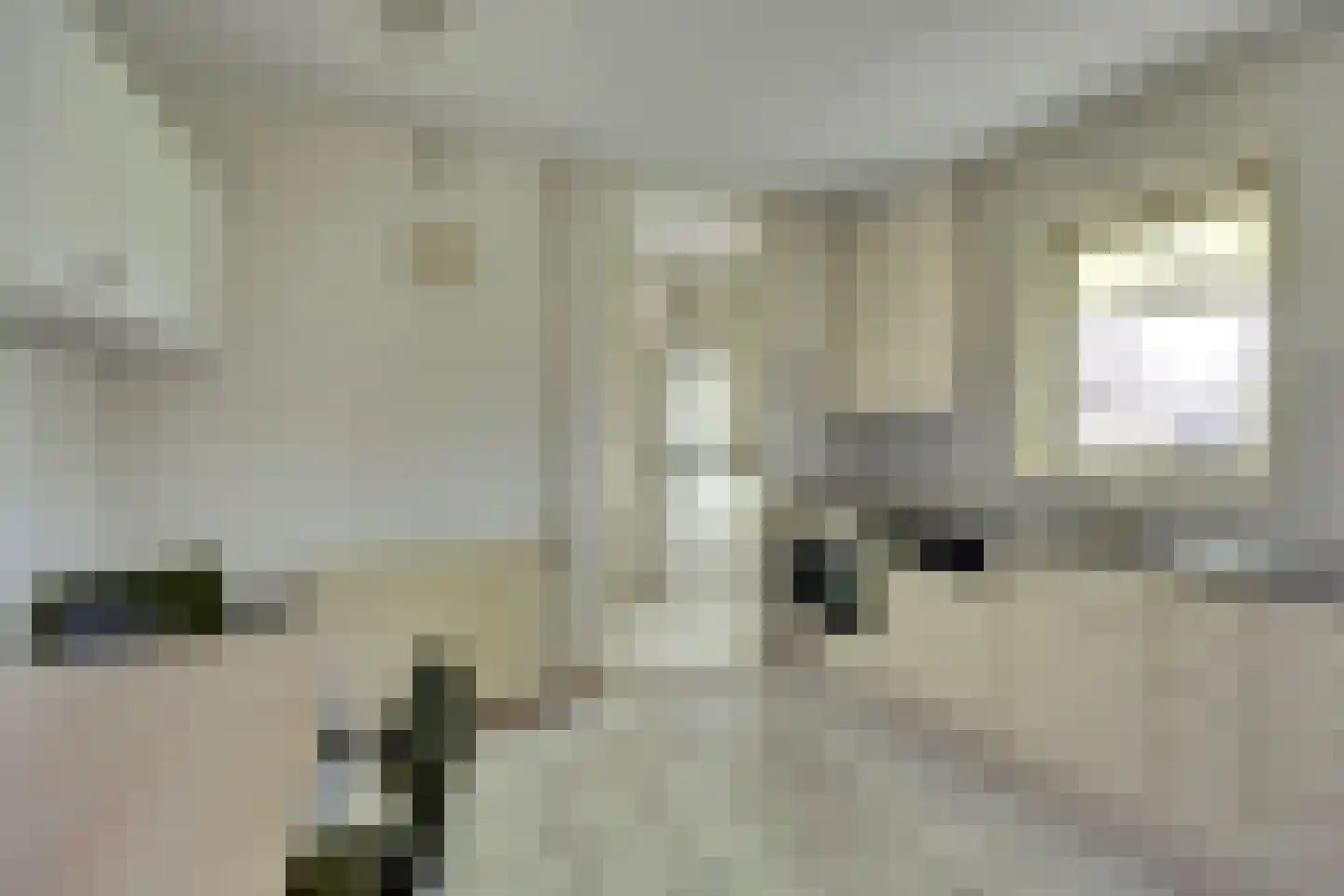 Emmastraat 8 Kortgene thumbnail 16