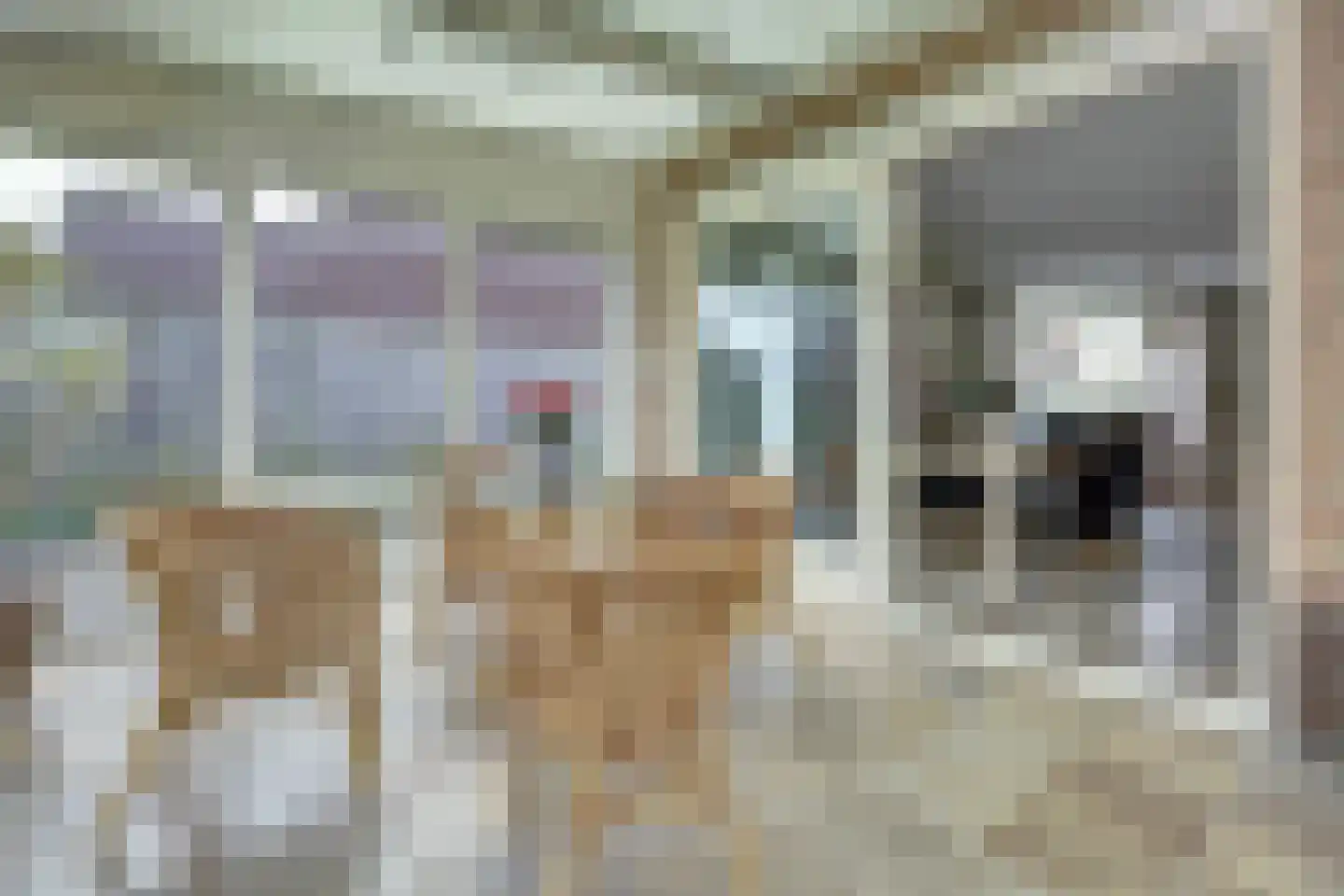 Emmastraat 8 Kortgene thumbnail 31