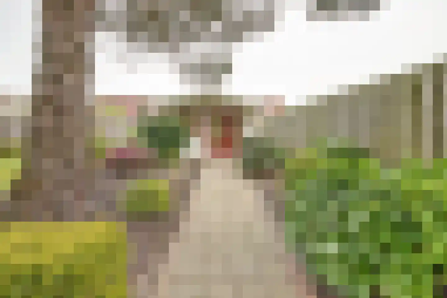 Emmastraat 8 Kortgene thumbnail 36