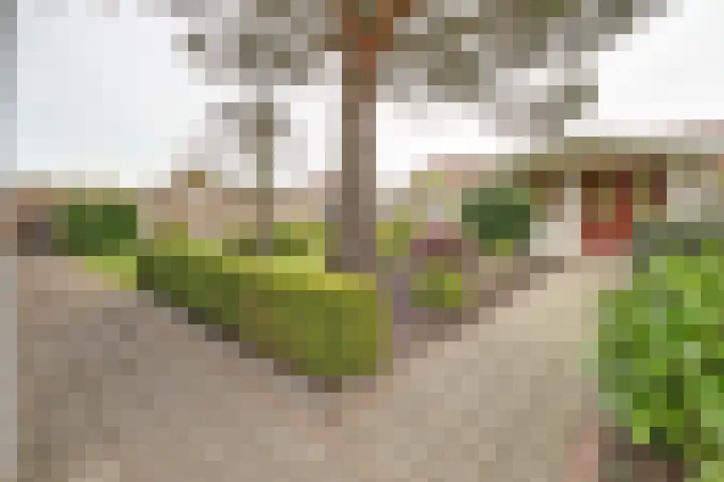 Emmastraat 8 Kortgene thumbnail 37