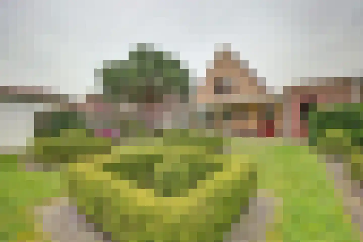 Emmastraat 8 Kortgene thumbnail 4