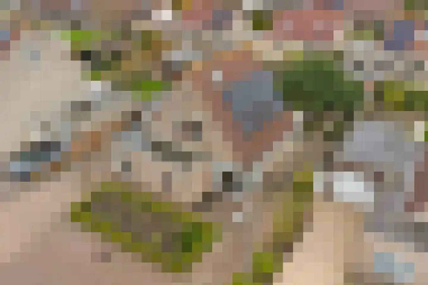 Emmastraat 8 Kortgene thumbnail 41
