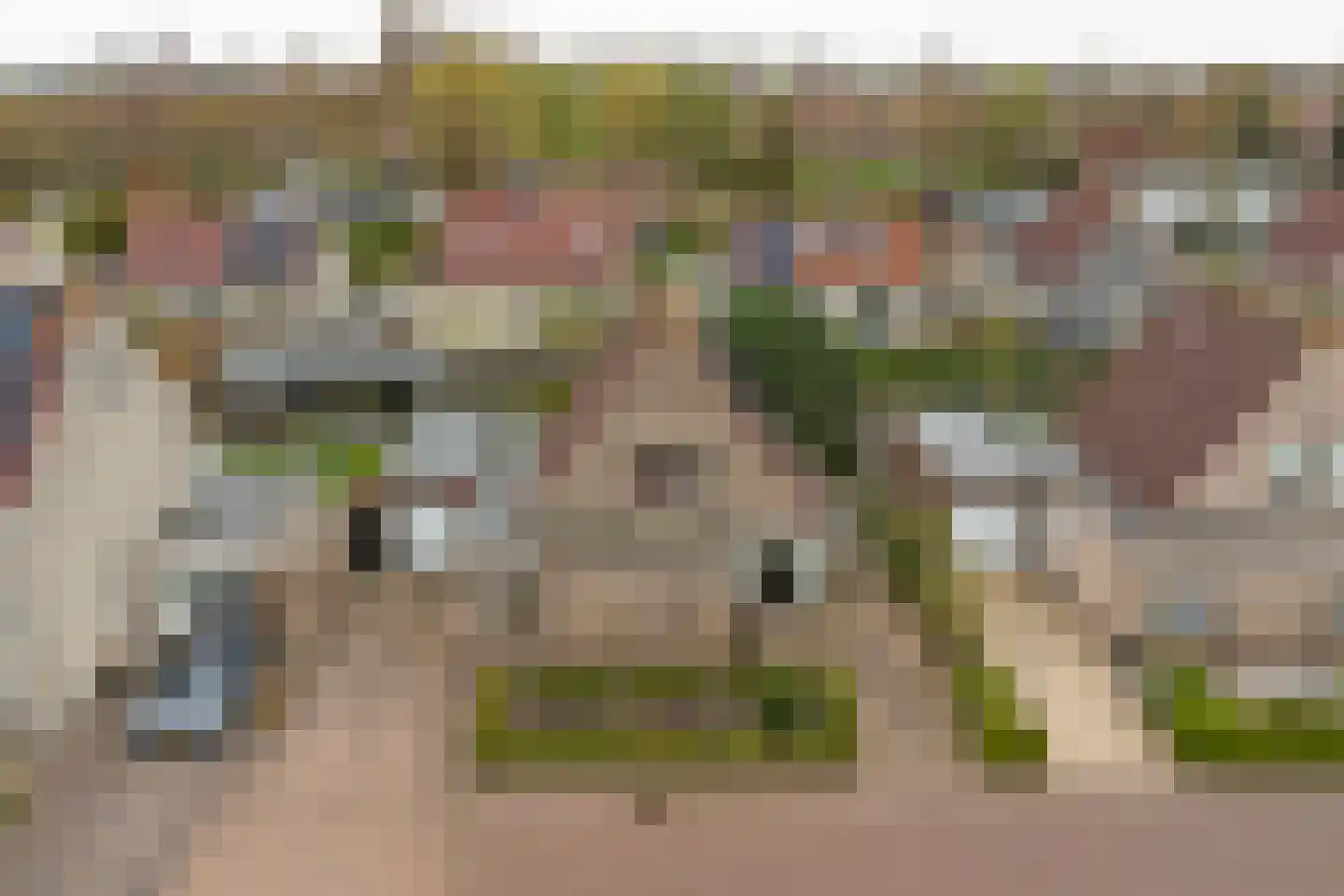 Emmastraat 8 Kortgene thumbnail 43
