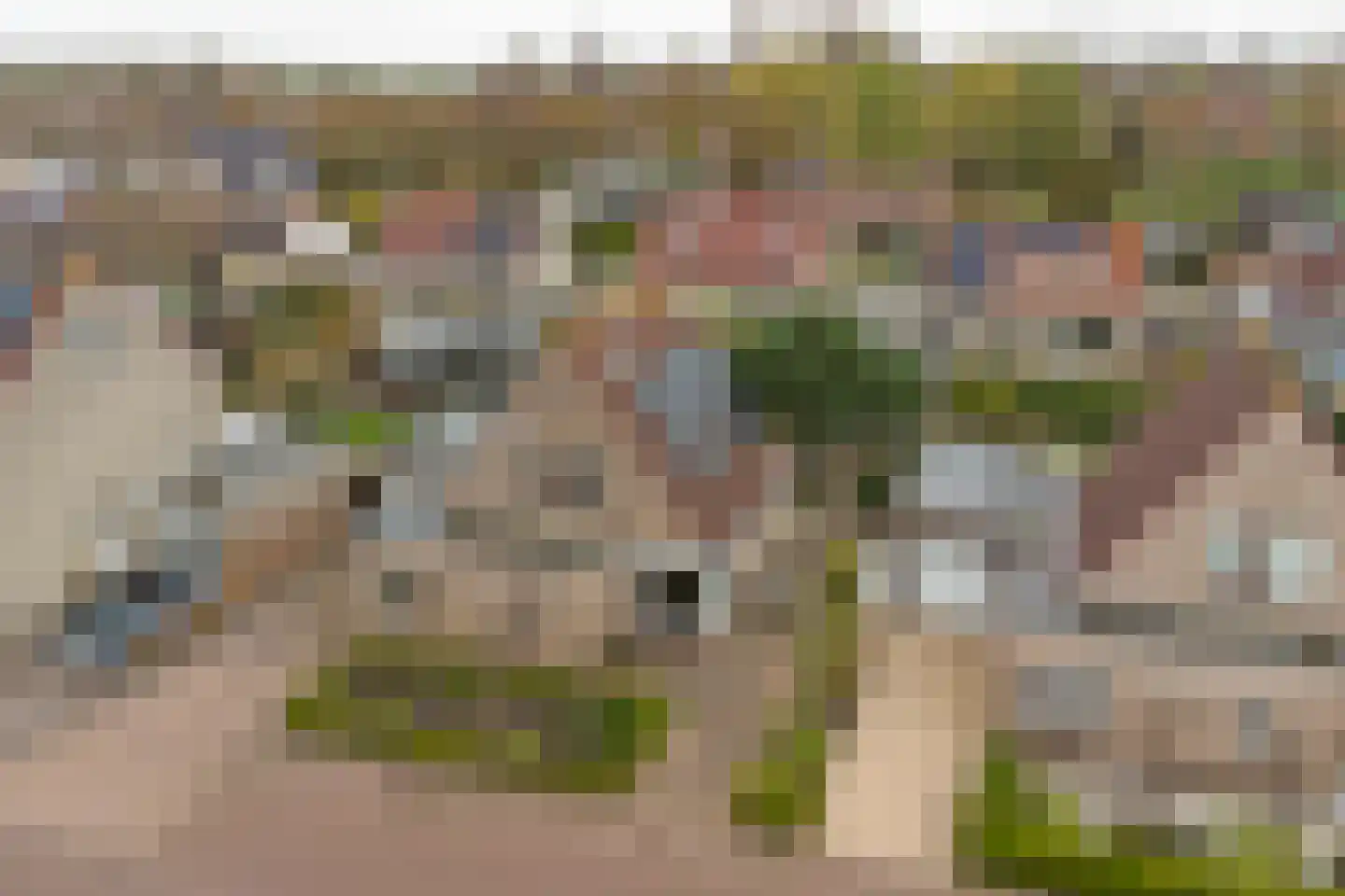 Emmastraat 8 Kortgene thumbnail 44