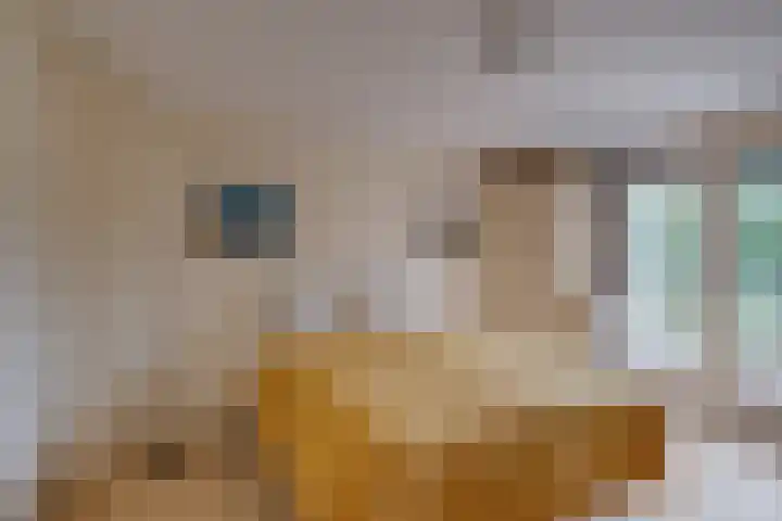 Emmastraat 8 Lochem thumbnail 15