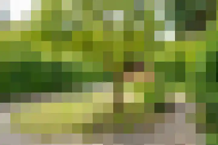Emmastraat 8 Lochem thumbnail 22