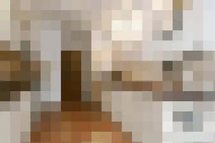 Emmastraat 8 Panningen thumbnail 9