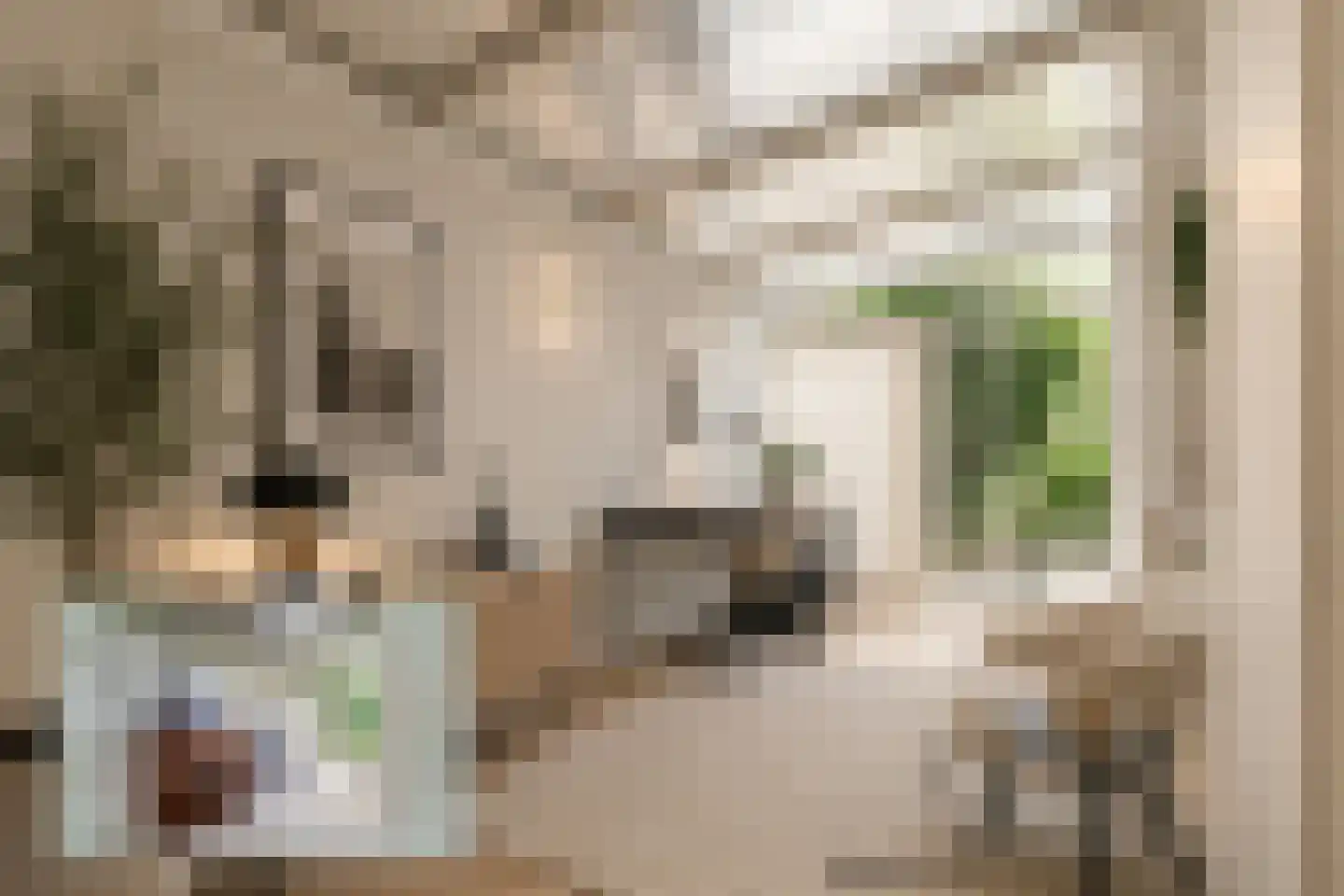 Emmastraat 84 A Monster thumbnail 17