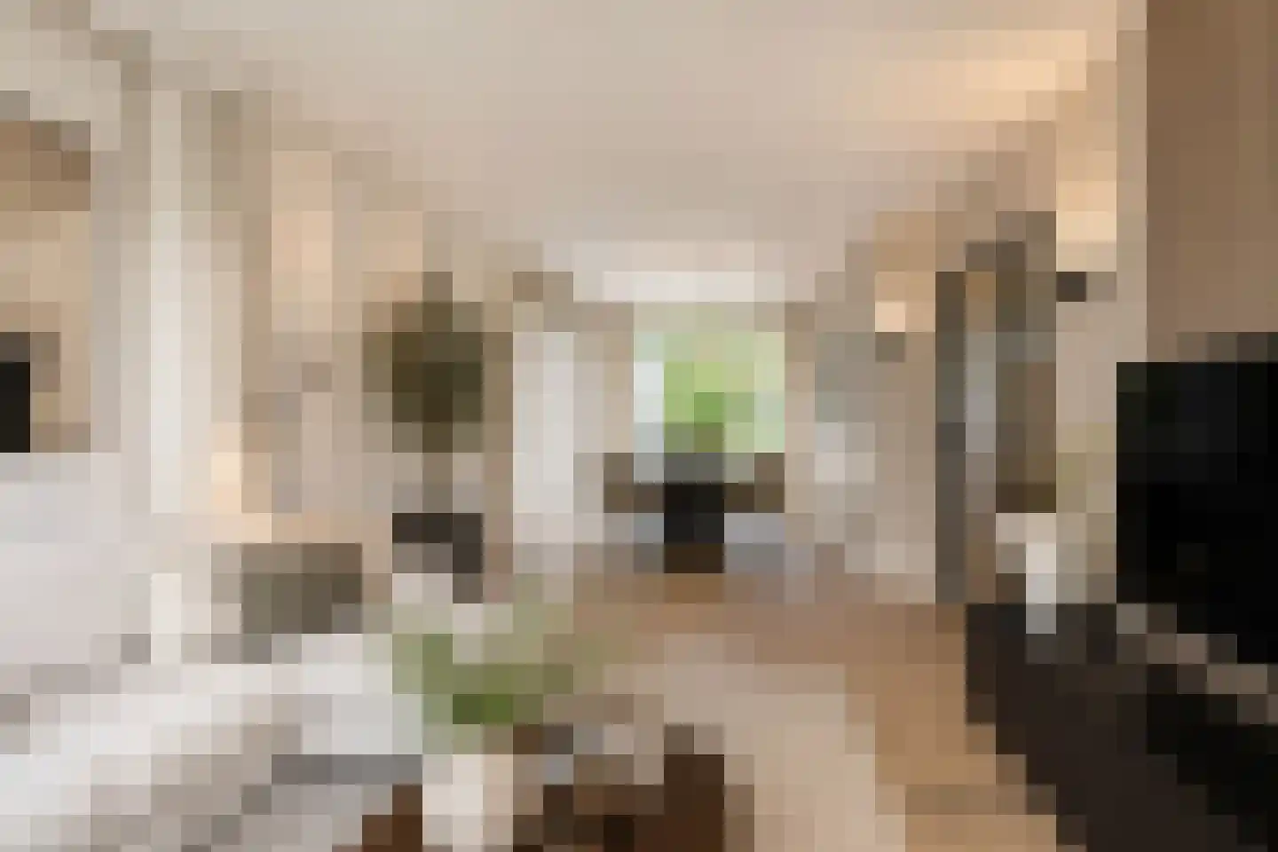 Emmastraat 84 A Monster thumbnail 4