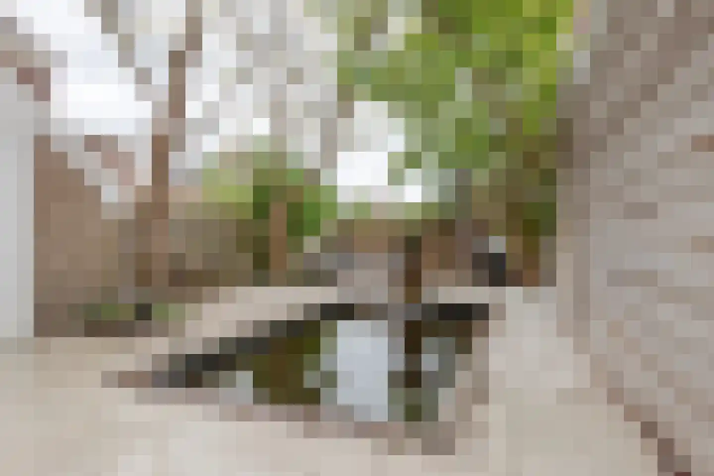 Emmastraat 85 Alkmaar thumbnail 12