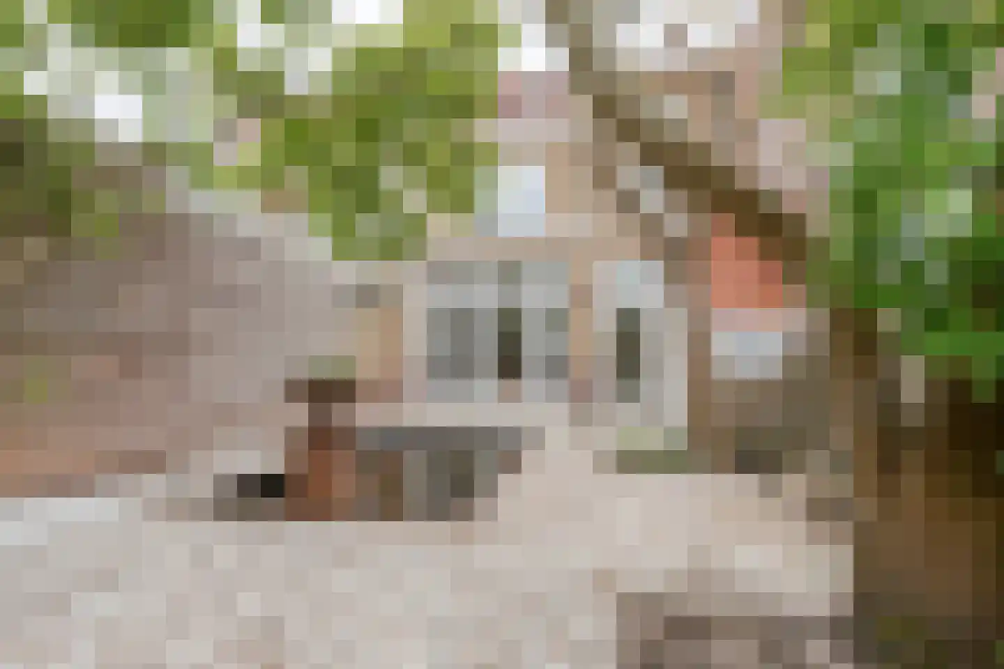 Emmastraat 85 Alkmaar thumbnail 13