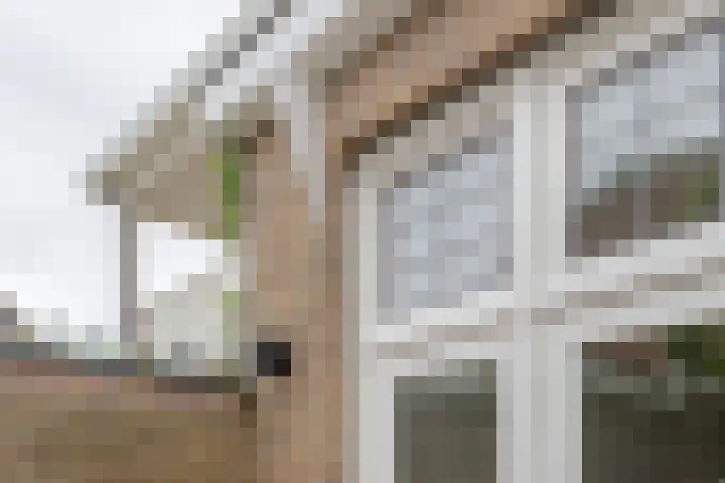 Emmastraat 85 Alkmaar thumbnail 17