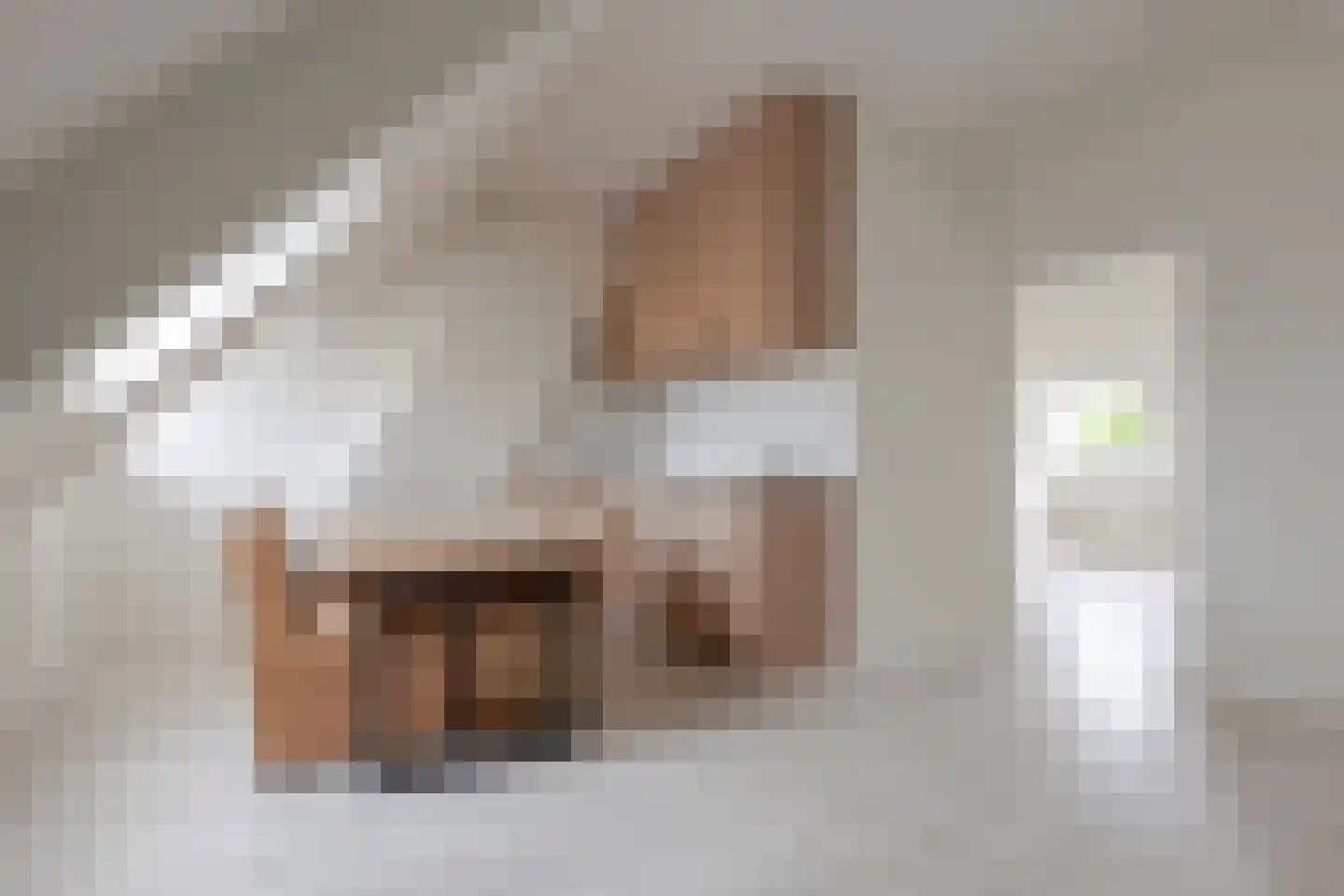 Emmastraat 85 Alkmaar thumbnail 42