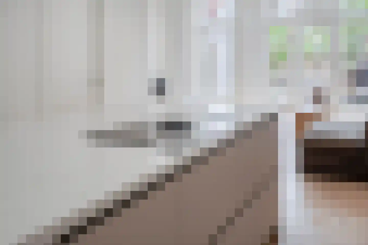Emmastraat 85 Alkmaar thumbnail 9