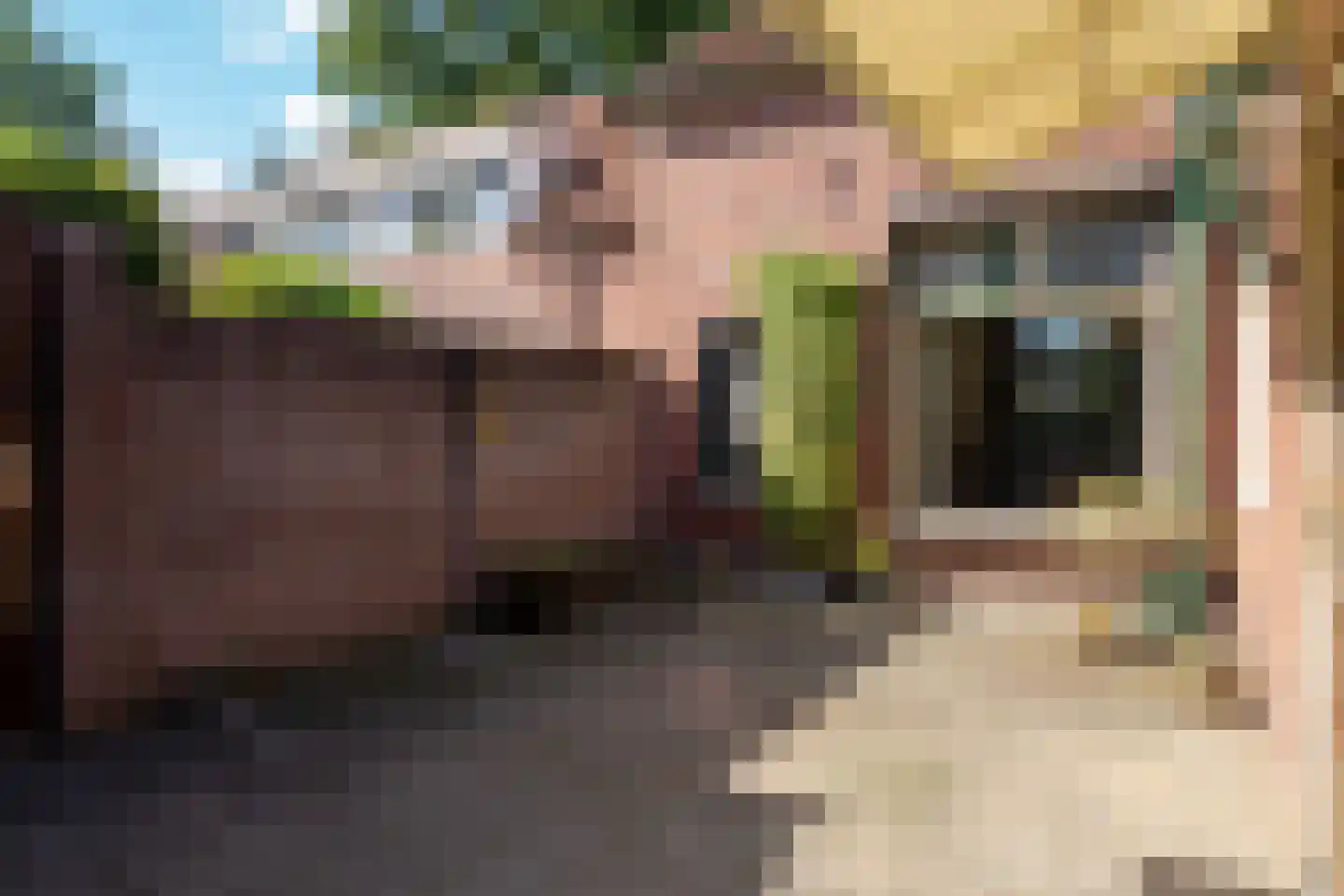 Emmastraat 85 Borne thumbnail 26