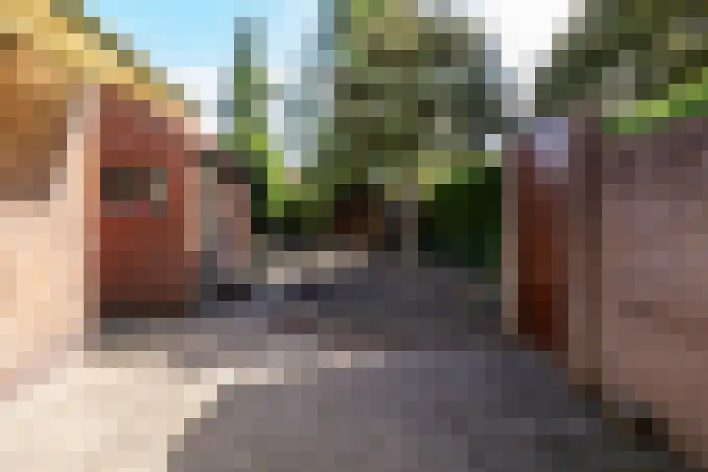 Emmastraat 85 Borne thumbnail 27