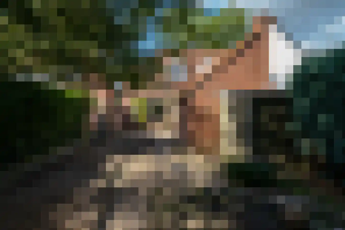 Emmastraat 85 Borne thumbnail 30