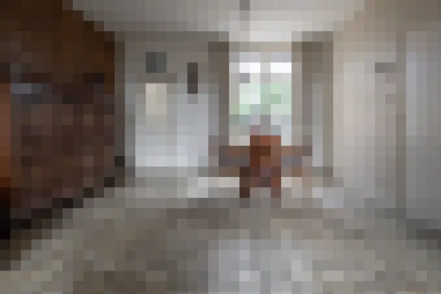 Emmastraat 85 Borne thumbnail 8