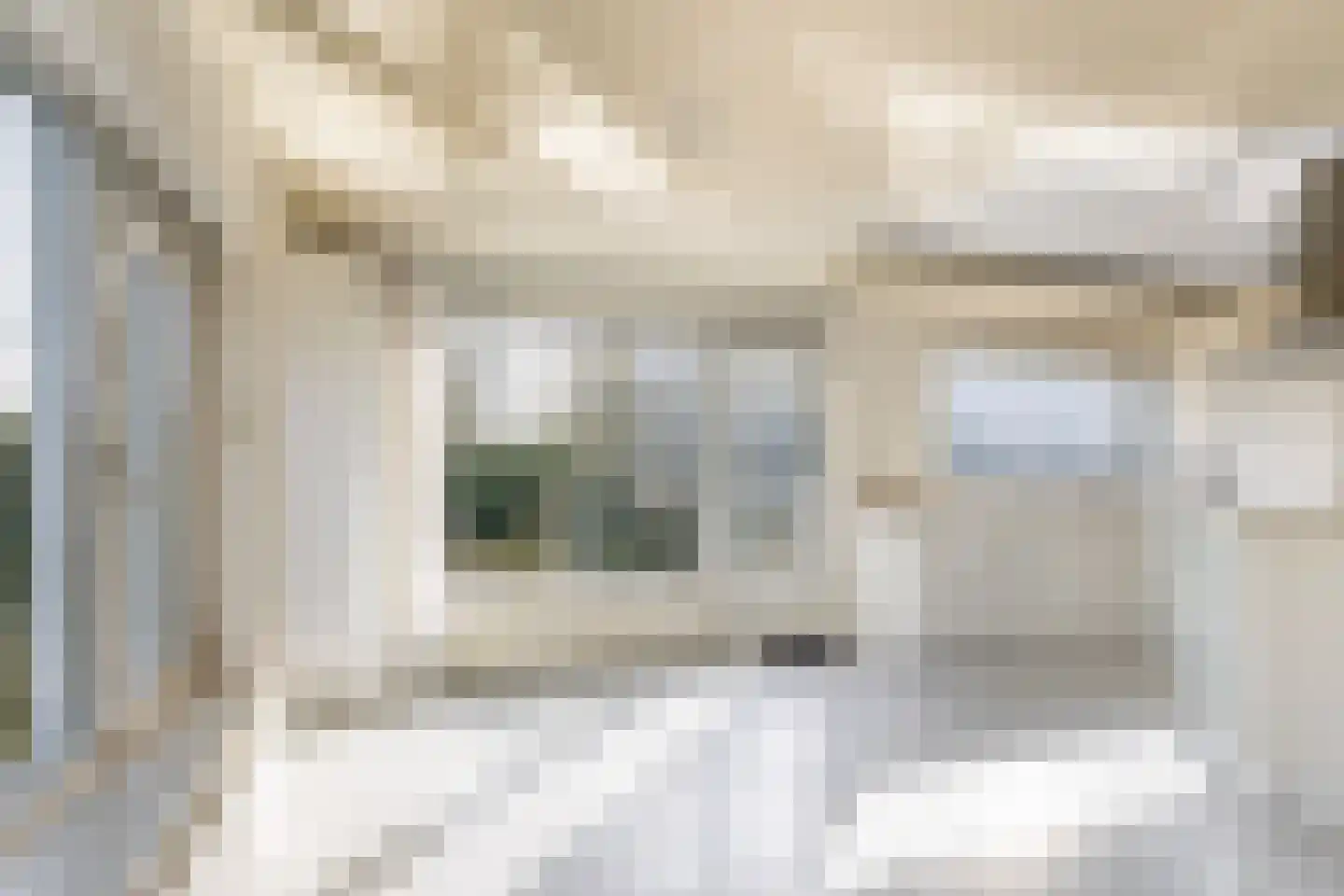 Emmastraat 85 Monster thumbnail 15