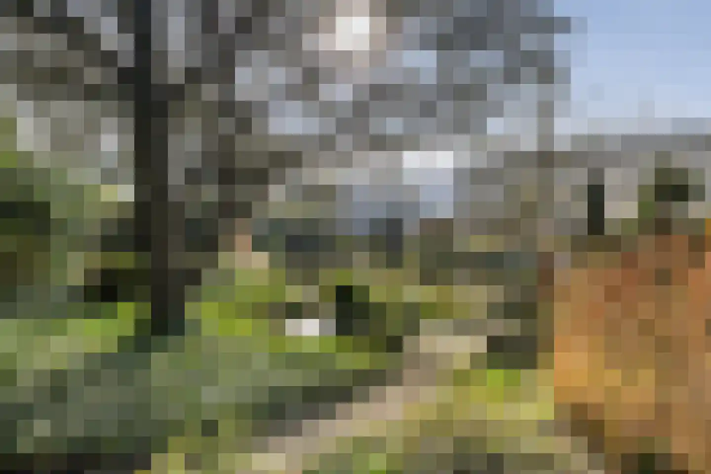 Emmastraat 85 Monster thumbnail 49