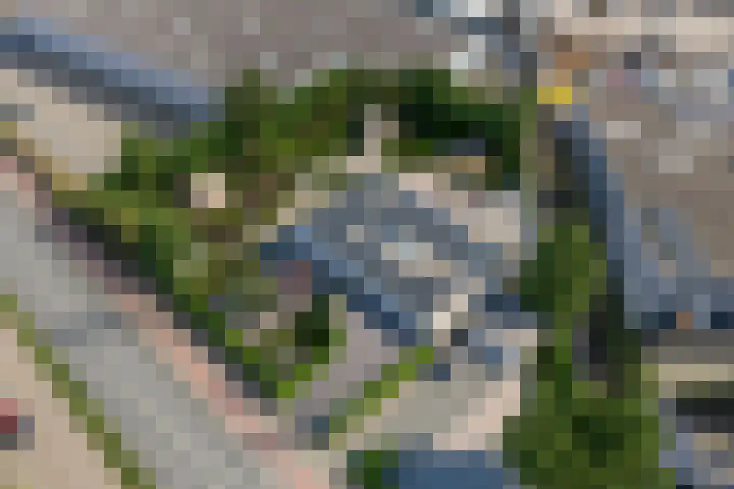 Emmastraat 85 Monster thumbnail 5