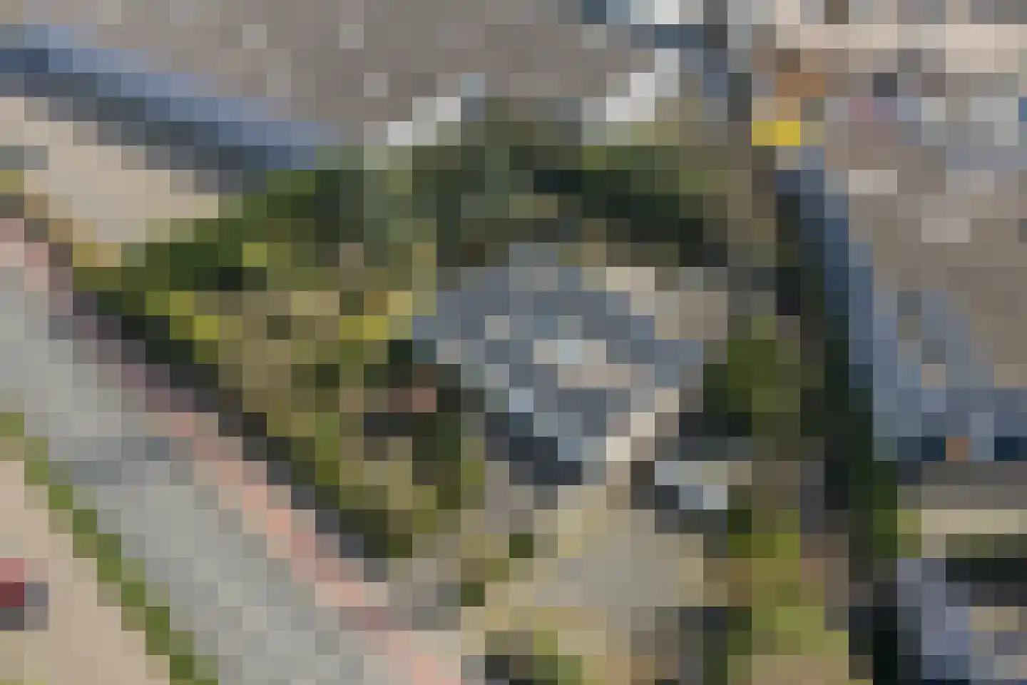 Emmastraat 85 Monster thumbnail 6