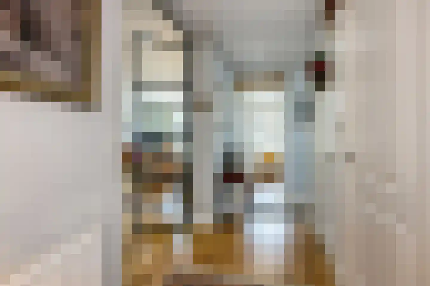 Emmastraat 86 Den Haag thumbnail 7