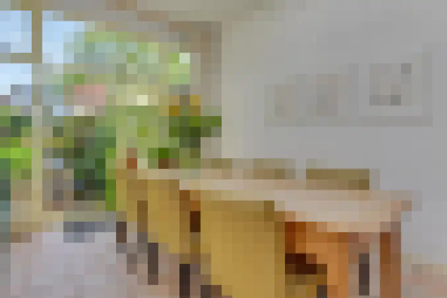 Emmastraat 9 Alkmaar thumbnail 18
