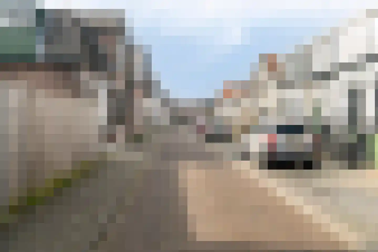 Emmastraat 9 Krommenie thumbnail 26