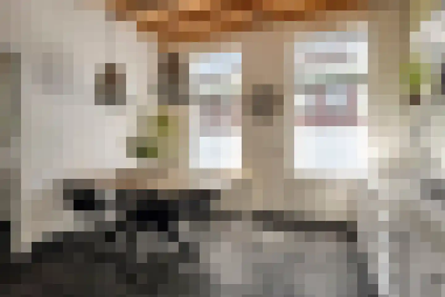 Emmastraat 92 Roosendaal thumbnail 7