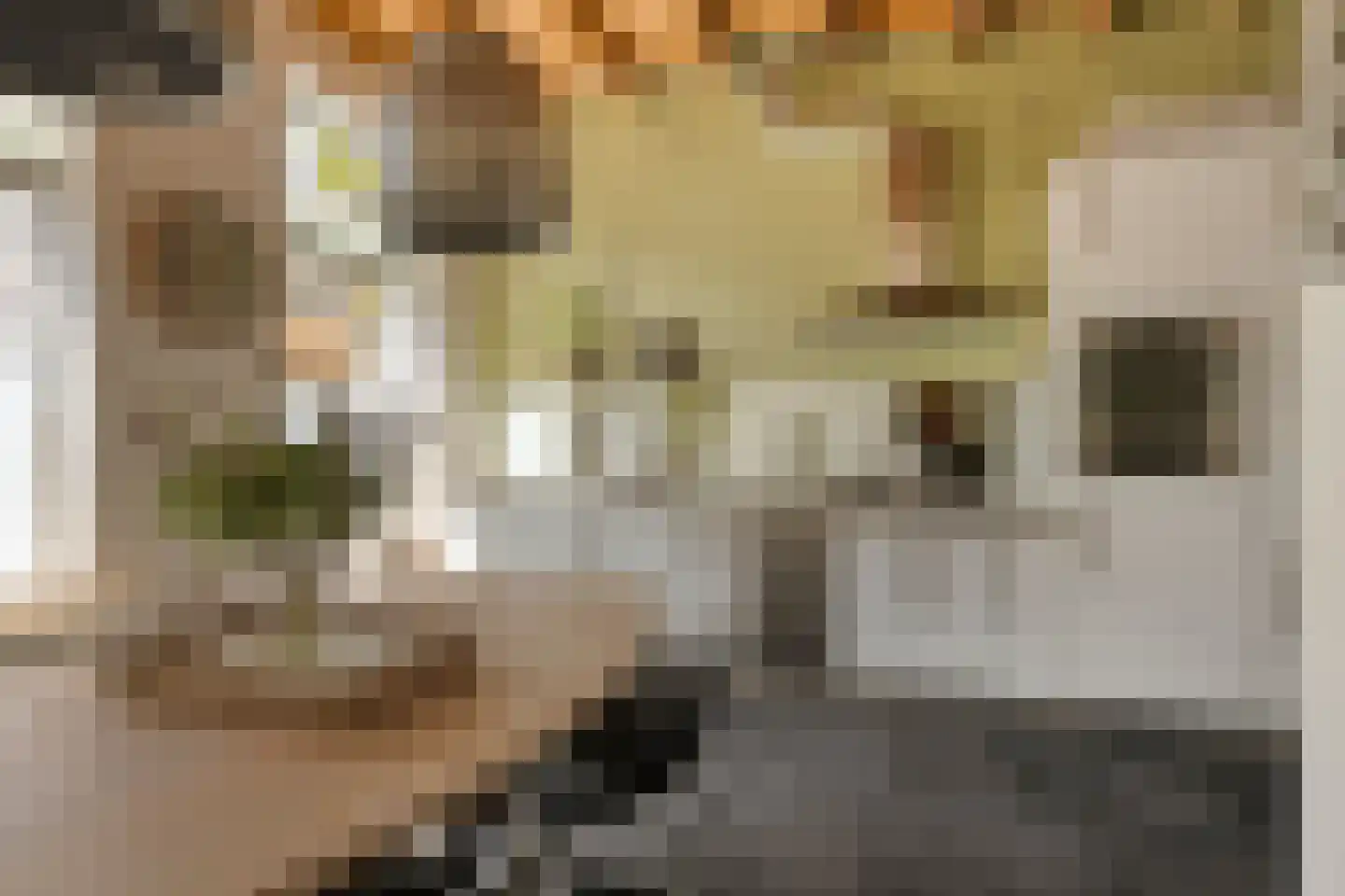 Emmastraat 92 Roosendaal thumbnail 8