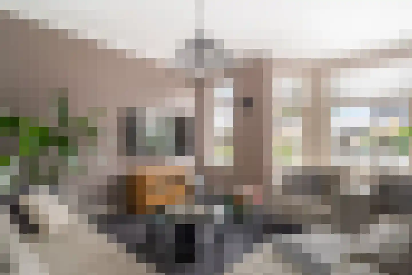 Emmastraat 98 Monster thumbnail 13