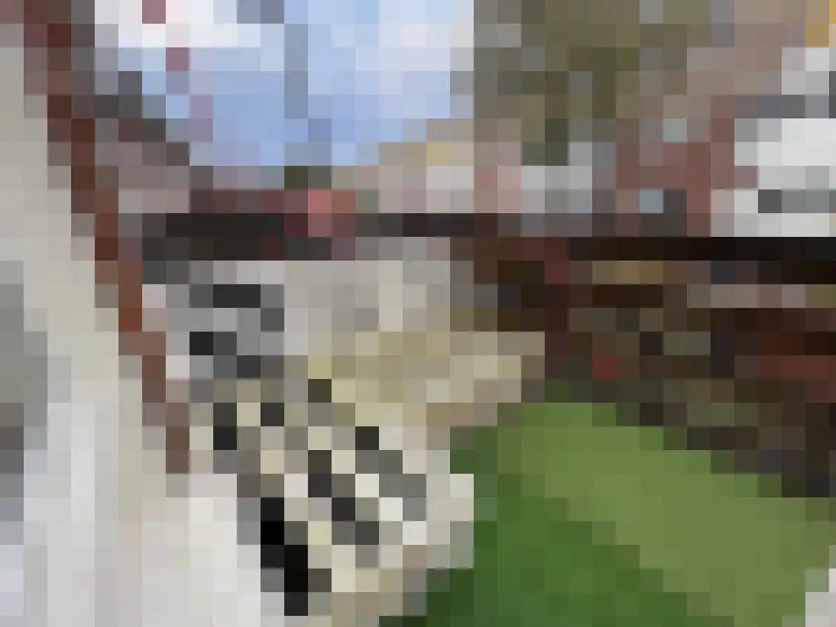 Emmastraat Groningen thumbnail 6