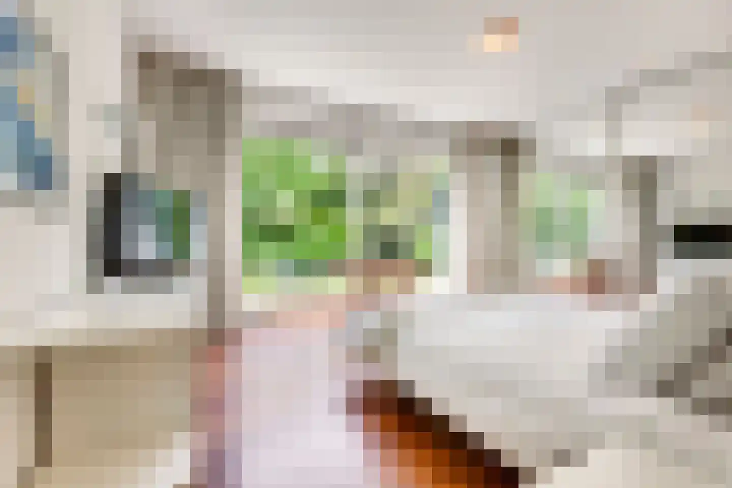 Emmaus 4 's-Hertogenbosch thumbnail 26