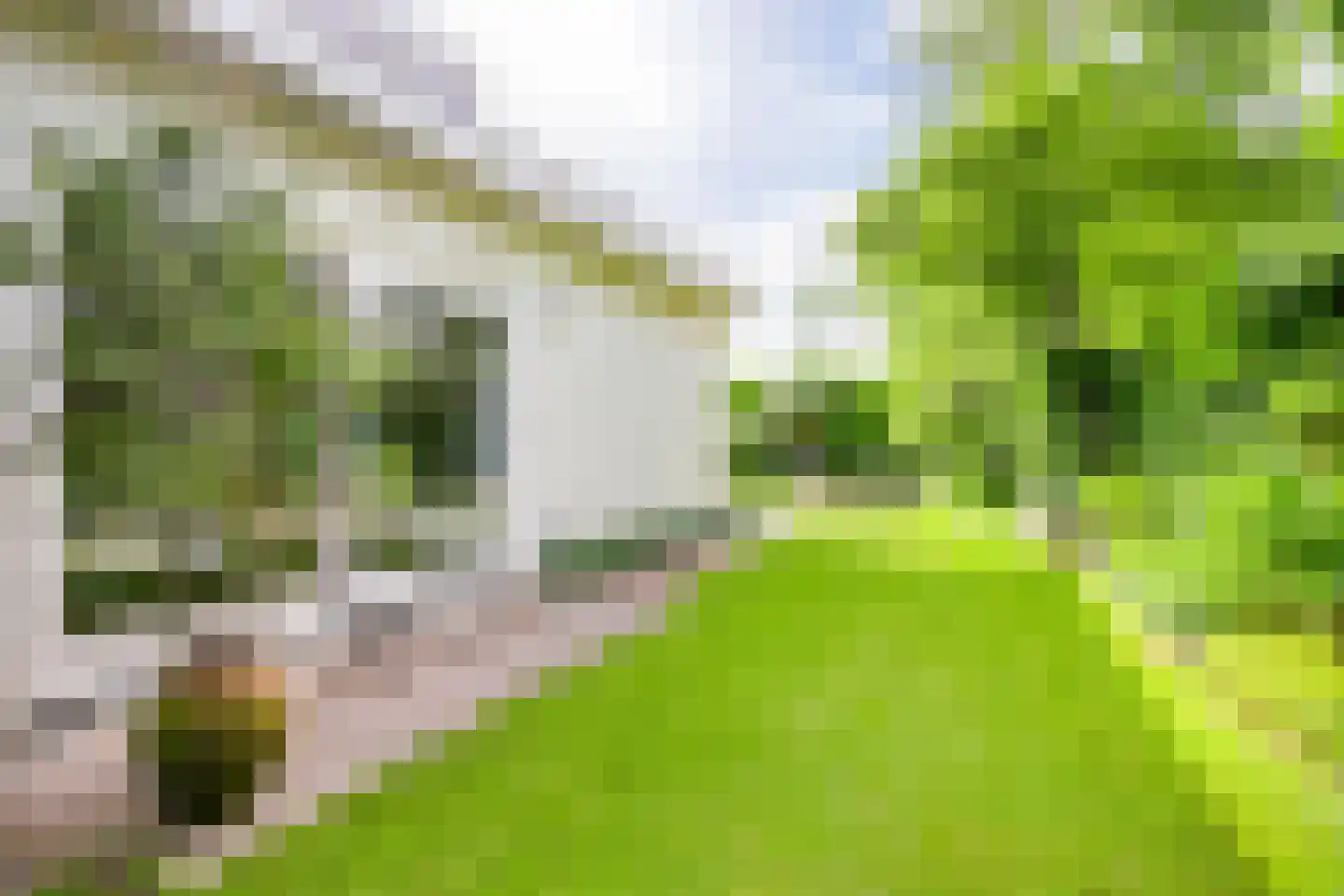 Emmaus 4 's-Hertogenbosch thumbnail 50