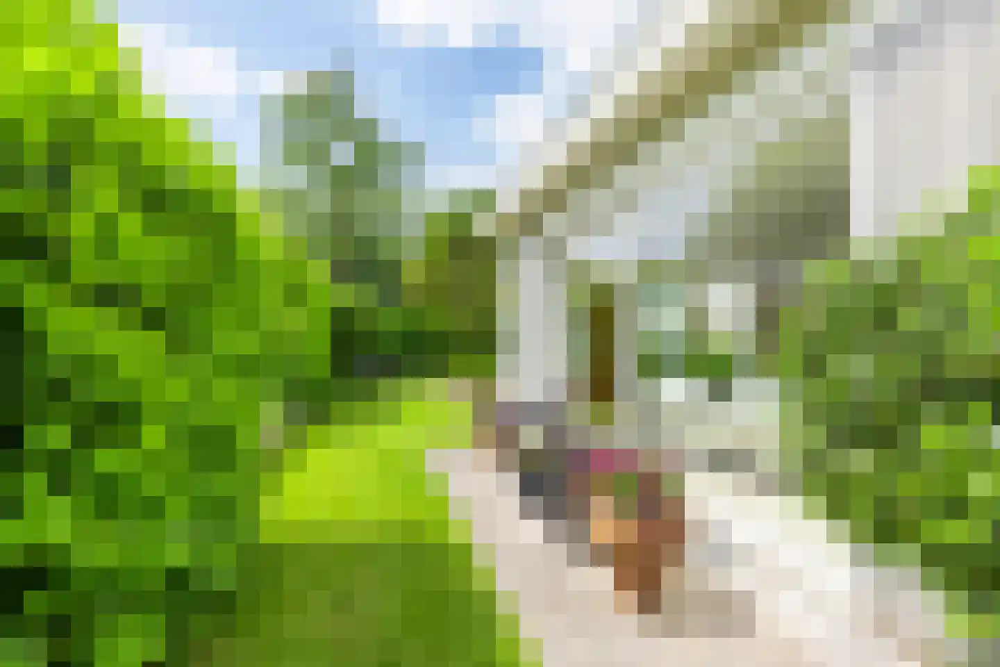 Emmaus 4 's-Hertogenbosch thumbnail 51