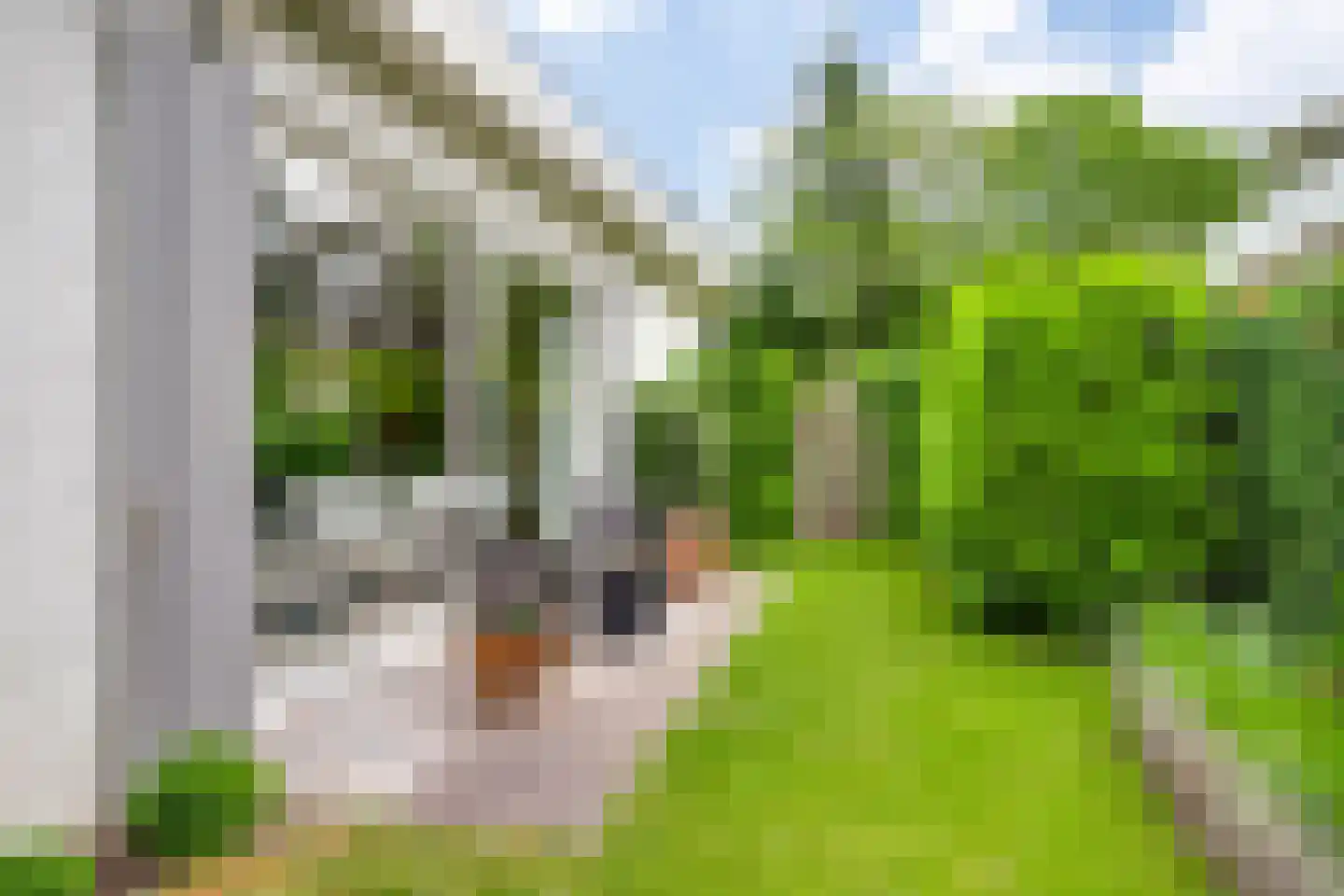Emmaus 4 's-Hertogenbosch thumbnail 52